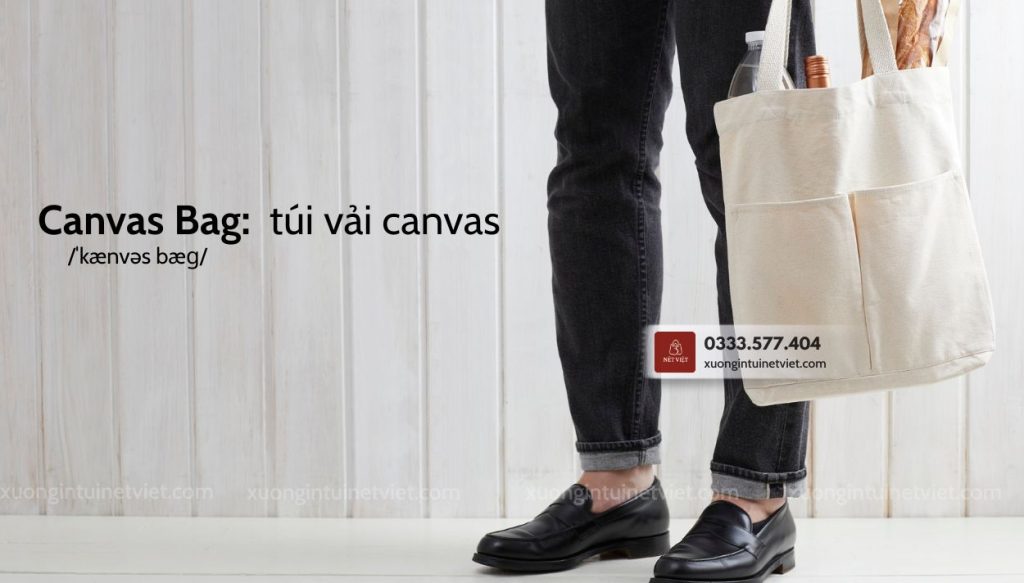 tui-canvas-tieng-anh-la-gi