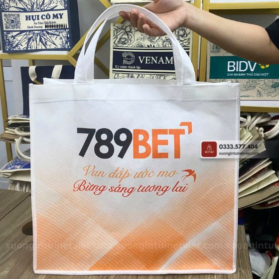 túi vải không dệt dạng hộp 789bet