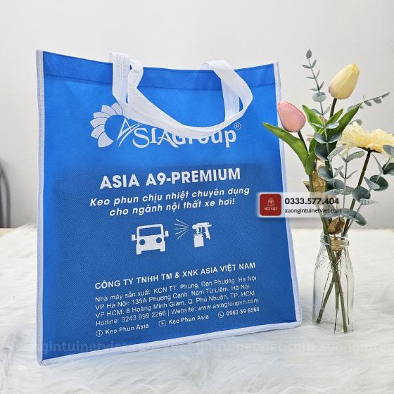 túi vải không dệt dạng hộp asiagroup