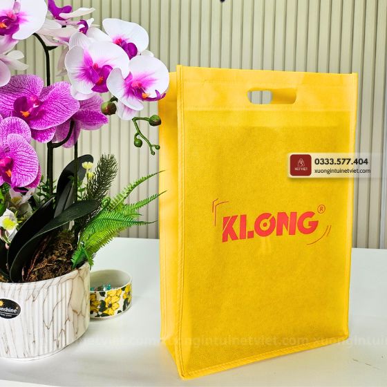 túi vải không dệt dạng hộp klong