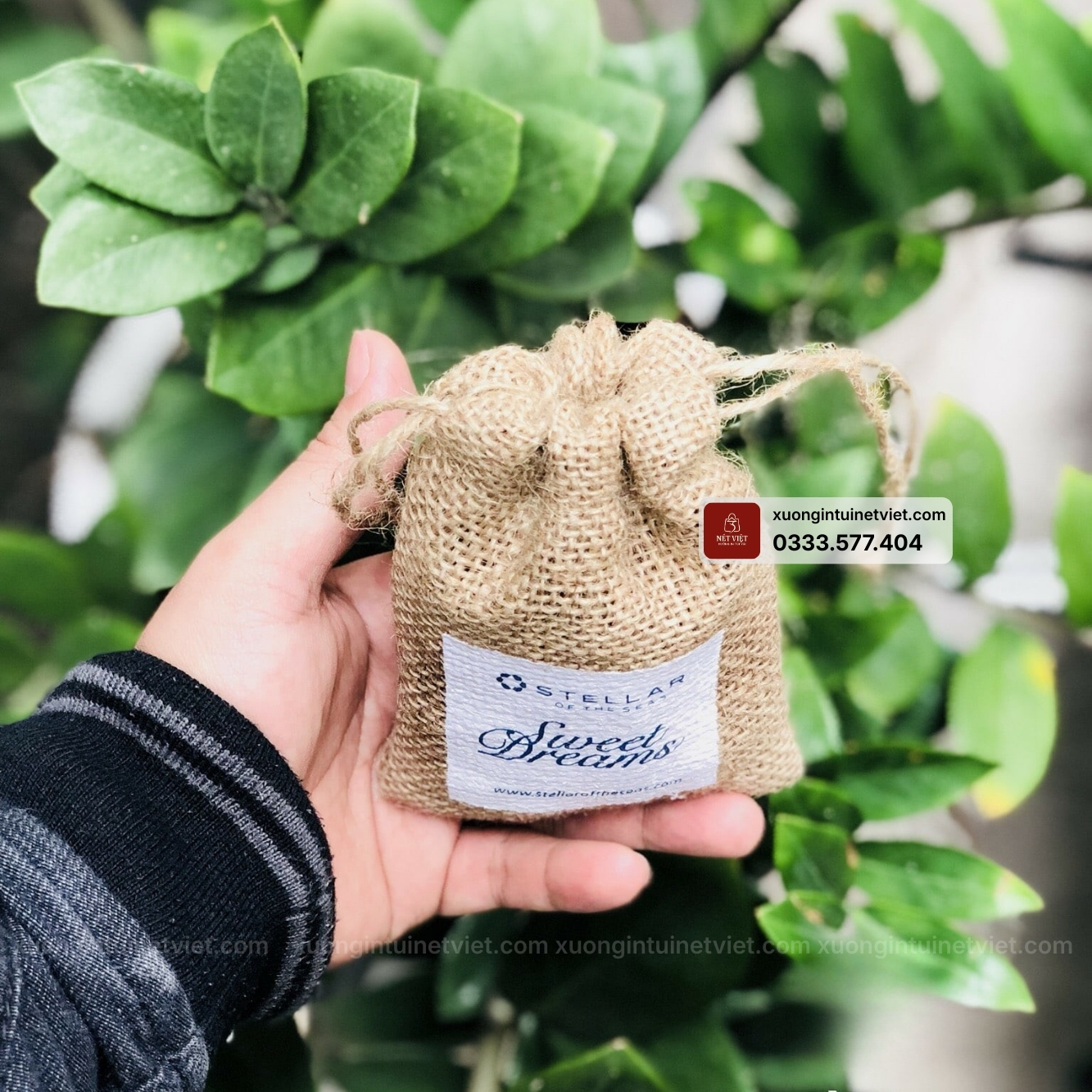 tui-thom-dung-ca-phe-hat4